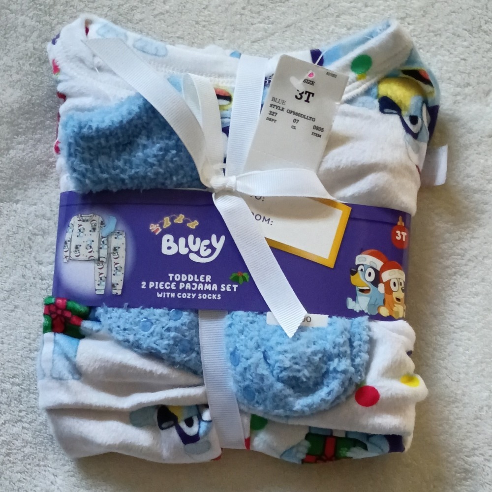 Bluey Toddler 2 Piece Pajama Set Cozy Socks Size 3T Holiday Graphic Print
